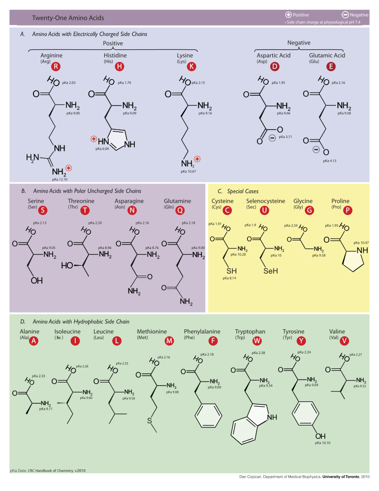 21_amino_acid