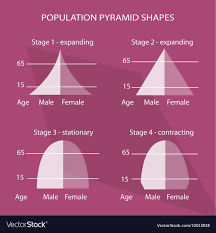 Four Different Types of Population Pyramids Charts