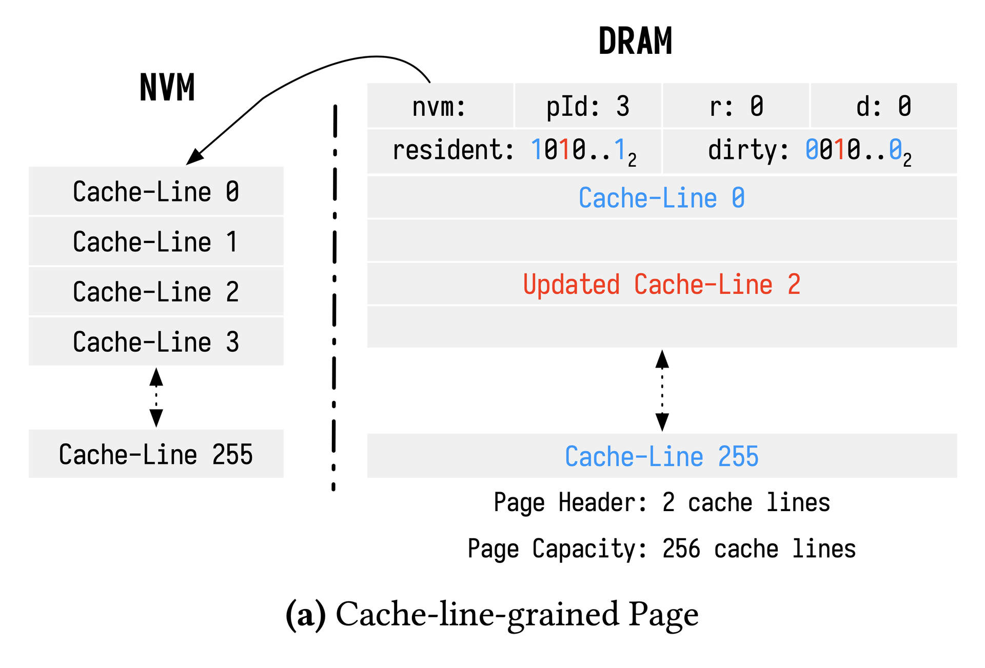 Cache-line-grained Page